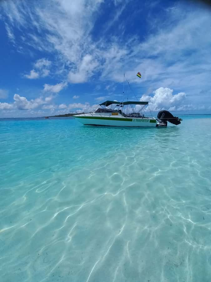 Mauritius: Snorkeling with turtles Le Transporteur speedboat - From Grand Baie to Trou aux Biches by speedboat