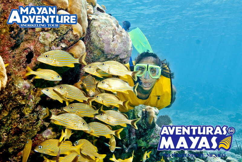 Mayan Adventure - 3 different snorkeling sites in one day! - The open cenote brings the action