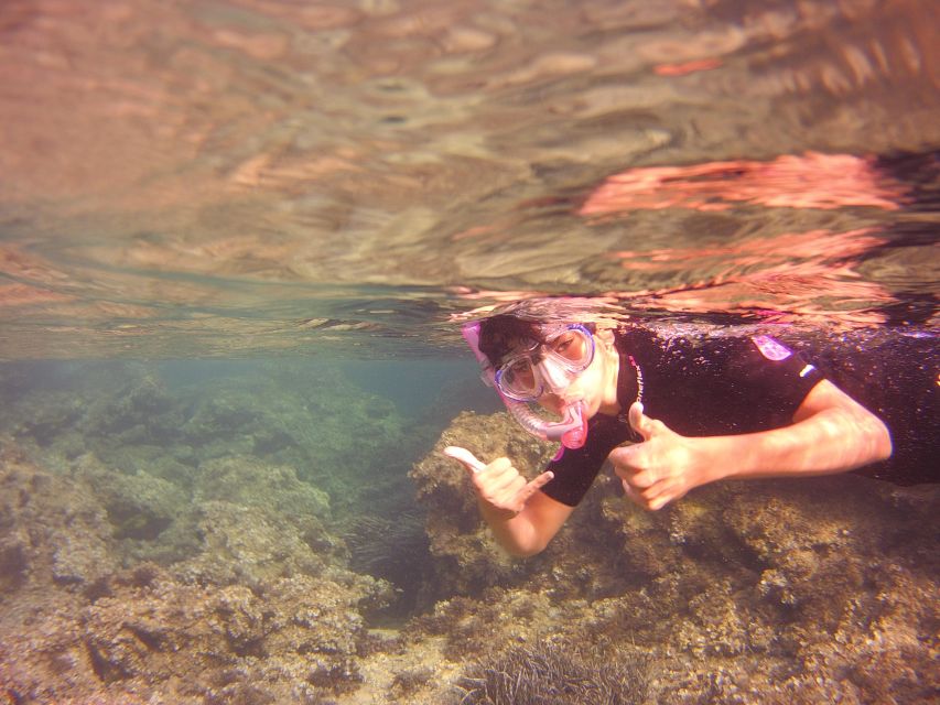 Menorca: Snorkeling Safari Tour - Is $51 a fair price?
