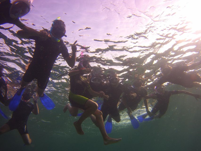 Menorca: Snorkeling Safari Tour - Who will enjoy this outing most?