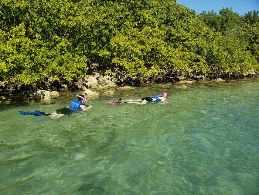 Miami: Beginner-Friendly Island Snorkeling by SUP or Kayak - Key Things to Know Before You Go