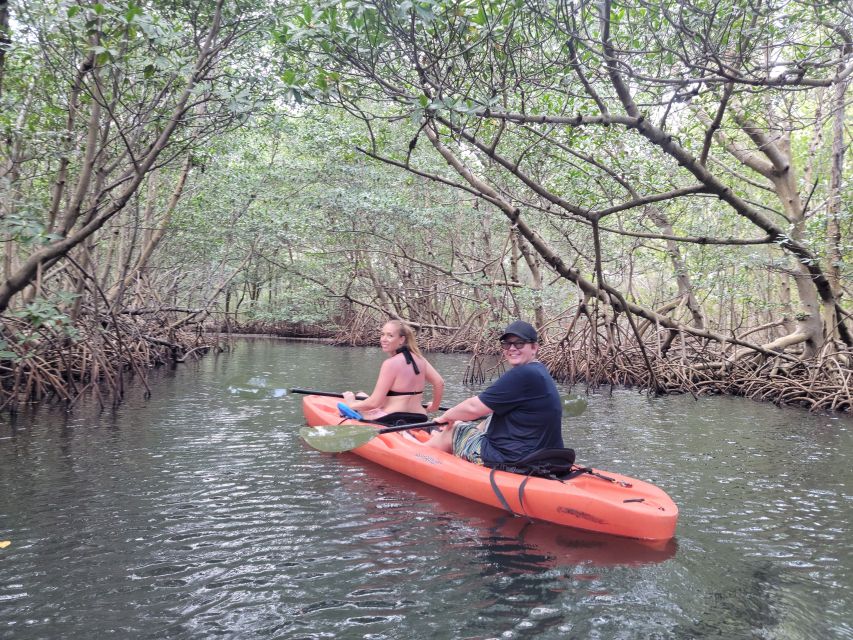 Miami: Beginner-Friendly Island Snorkeling by SUP or Kayak - Why This Miami Water Trip Works for Beginners