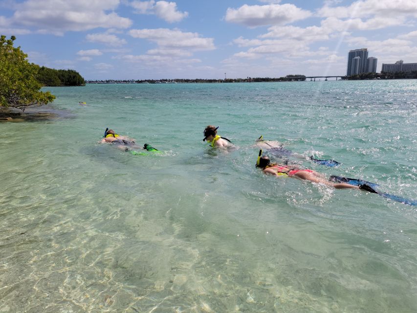 Miami: Beginner-Friendly Island Snorkeling by SUP or Kayak - Island Time, Fruit, and Cold Drinks