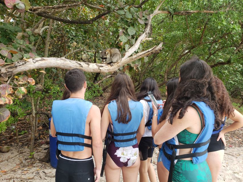Miami: Beginner-Friendly Island Snorkeling by SUP or Kayak - Wildlife Encounters: Possible, Not Promised