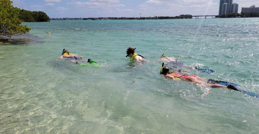 Miami: Beginner-Friendly Island Snorkeling by SUP or Kayak - Is the $99 Price Good Value?