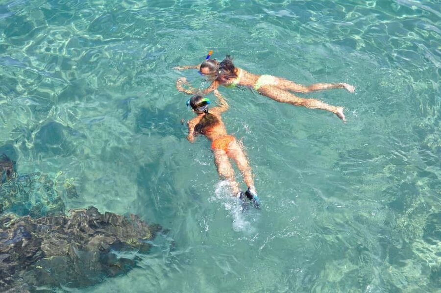 Miami Snorkeling for Beginners from Bayside Market Place - Key points at a glance