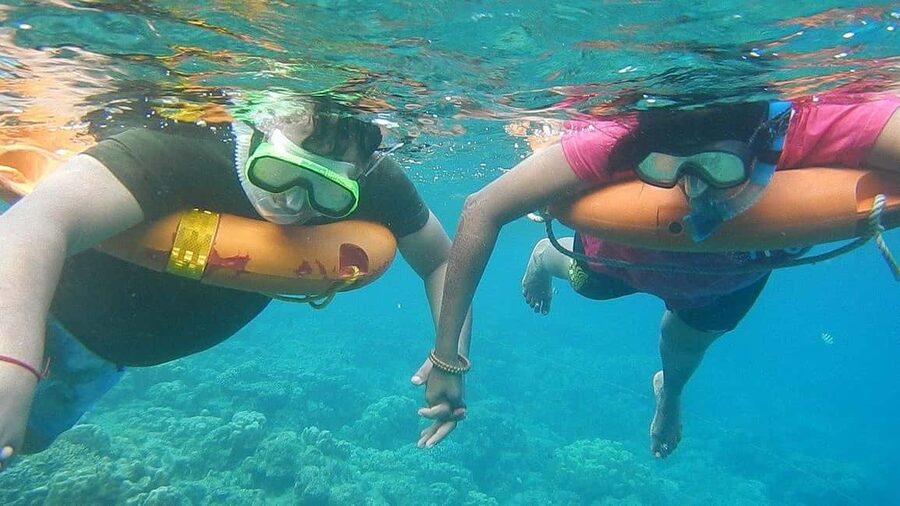 Miami Snorkeling for Beginners from Bayside Market Place - Starting at Bayside Marketplace near the Hard Rock Cafe