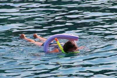 Miami Snorkeling for Beginners from Bayside Market Place