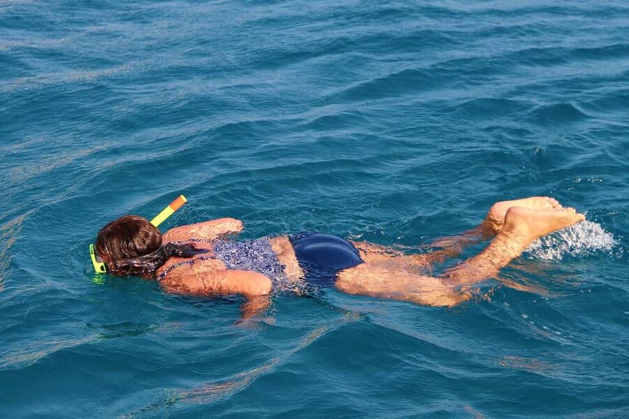 Miami Snorkeling for Beginners from Bayside Market Place - What the $35 price really covers