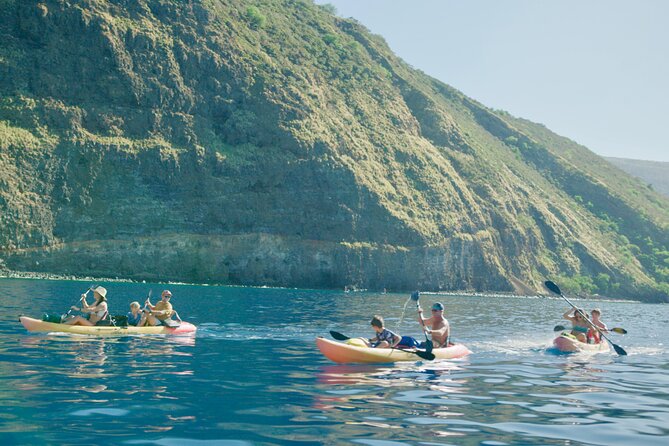 Midday Meander - Kealakekua Bay Kayak and Snorkel Adventure - Snorkeling along the Kaawaloa coastline