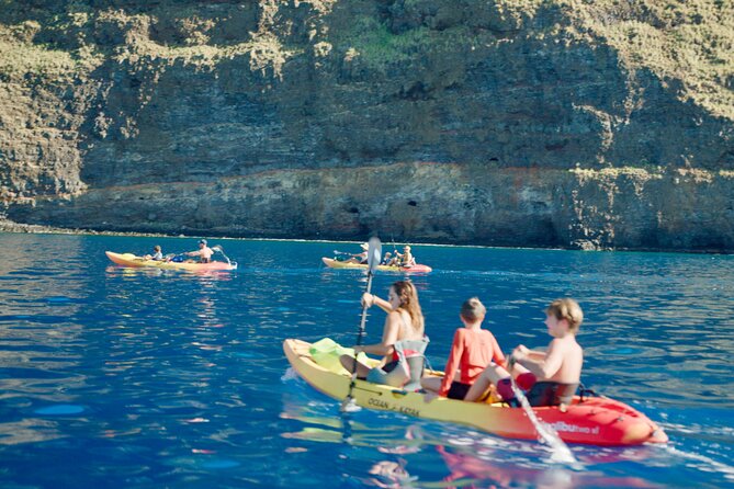 Midday Meander - Kealakekua Bay Kayak and Snorkel Adventure - What the $187.45 price really buys