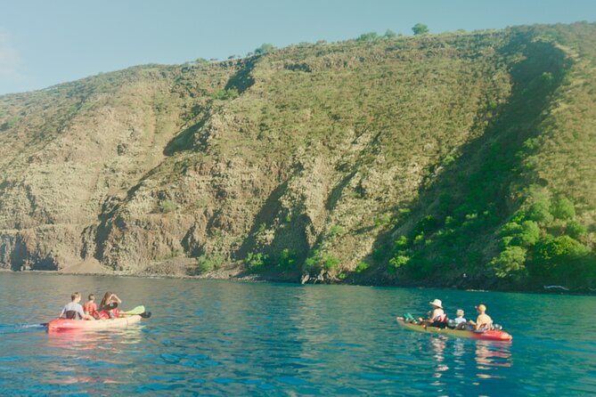 Midday Meander - Kealakekua Bay Kayak and Snorkel Adventure - Who will enjoy this Kealakekua Bay outing?