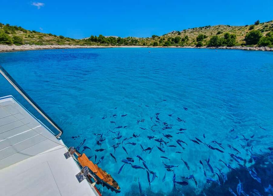 Mikado Kornati Excursion with snorkeling and hiking stops - The return cruise to Zadar