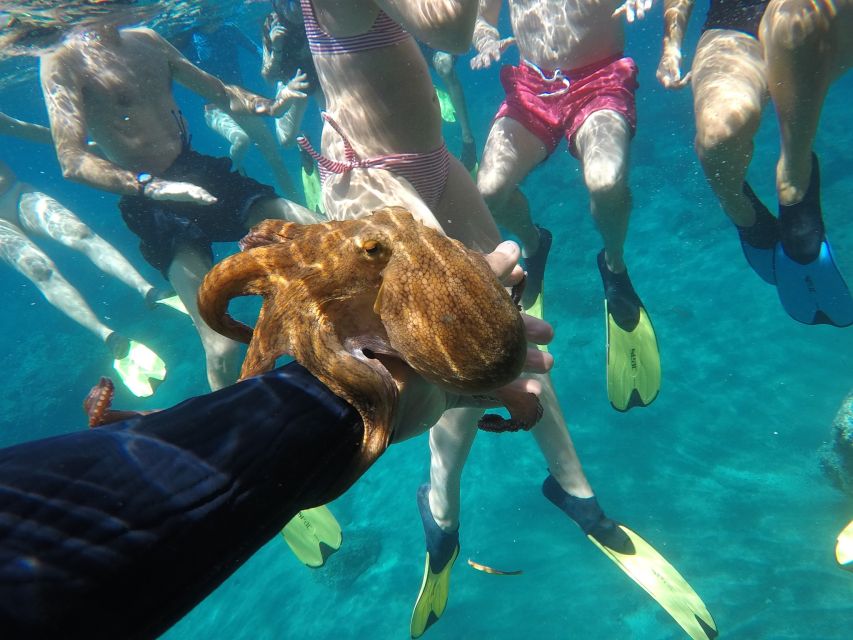 Milos: Half-Day Speedboat Cruise to Klefiko with Snorkeling - Is $159 a fair price?