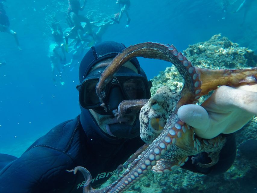 Milos: Half-Day Speedboat Cruise to Klefiko with Snorkeling - Why this five-hour cruise works so well