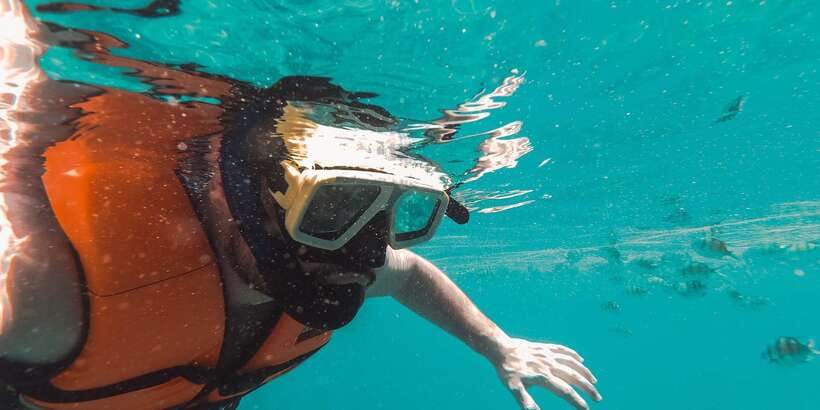 Mirissa: Snorkeling Experience with Turtles - Key points before you book