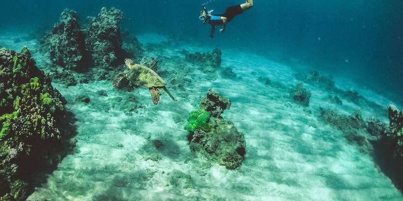 Mirissa: Snorkeling Experience with Turtles - What the one-hour Mirissa outing feels like
