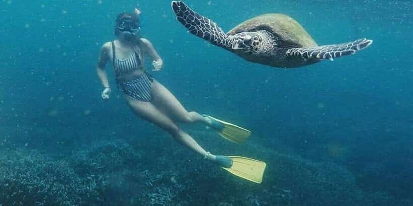 Mirissa: Snorkeling Experience with Turtles - Photos, videos, and what is included for $29
