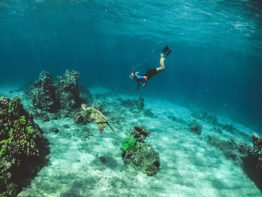 Mirissa: Snorkeling Experience with Turtles - Who should book this experience?