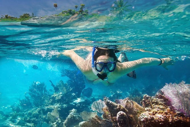 Mirissa Unforgettable Snorkeling Experience with Turtles - Photos, snacks, and the useful finish