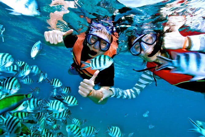 Mirissa Unforgettable Snorkeling Experience with Turtles - Cancellation and planning advice