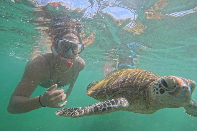 Mirissa Unforgettable Snorkeling Experience with Turtles - Meeting Mirissa’s sea turtles