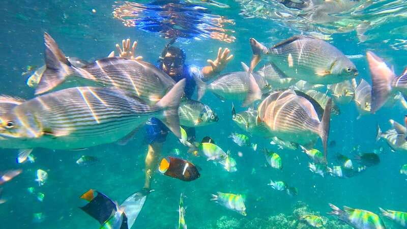 Mismaloya: Snorkeling, Cliff Jumping, and Beach Tour - The first boat ride toward Los Arcos