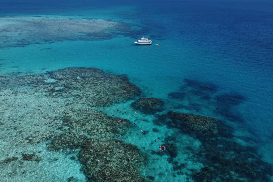 Mission Beach: Outer Great Barrier Reef & Dunk Island Tour - Quick points before you book