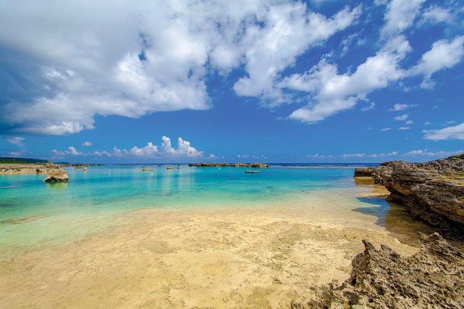 [Miyako Island/Half Day] Sea Turtle Snorkeling - What the Miyakojima sea turtle tour is really like