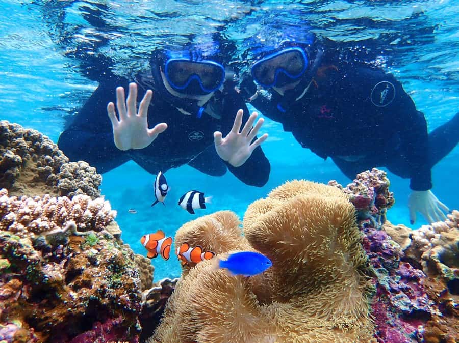 Miyako island: Pumpkin Limestone Caving & Snorkeling - Who should book this Miyako Island tour?