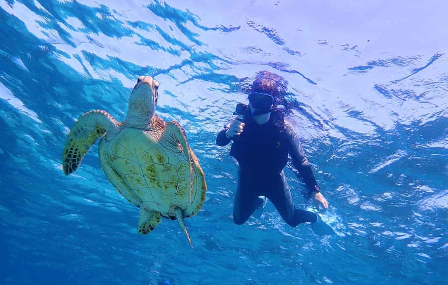 Miyako island: Pumpkin Limestone Caving & Snorkeling - Cave photos and what the camera policy means