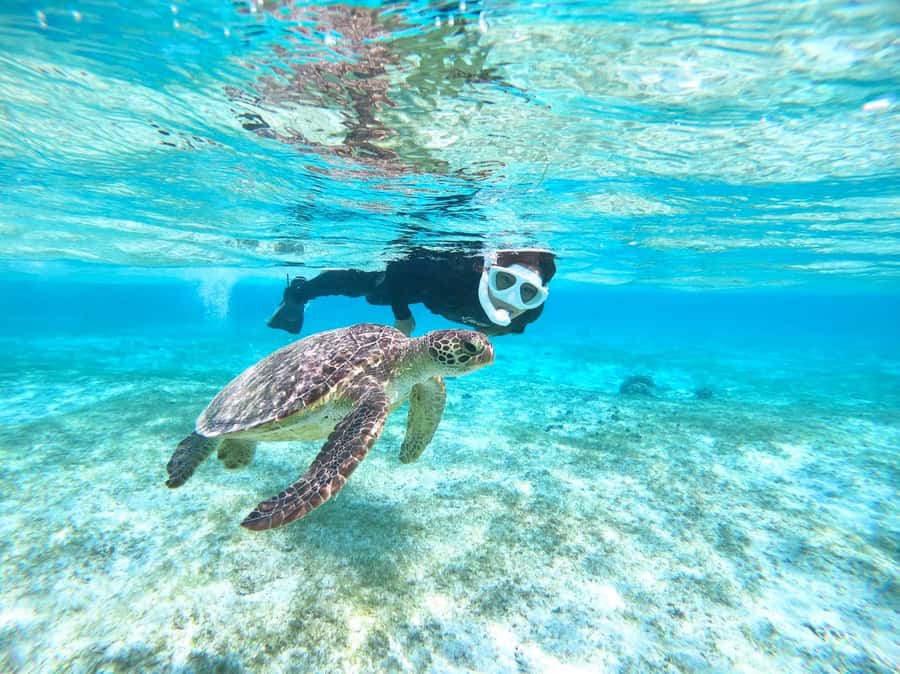 Miyako island: Pumpkin Limestone Caving & Snorkeling - Physical demands, age limits, and safety