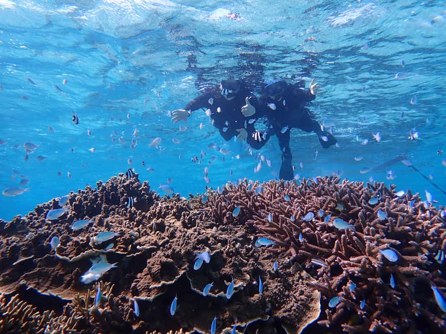 Miyako island: Pumpkin Limestone Caving & Snorkeling - What to bring and how to prepare