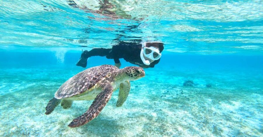 Miyako Island: SUP or Canoeing and Snorkeling Experience - Key points to know before booking