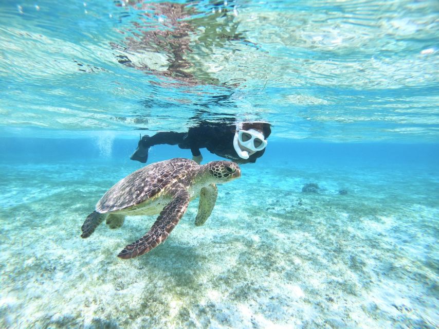 Miyako Island: SUP or Canoeing and Snorkeling Experience - Paddling beside Miyako’s clear coast