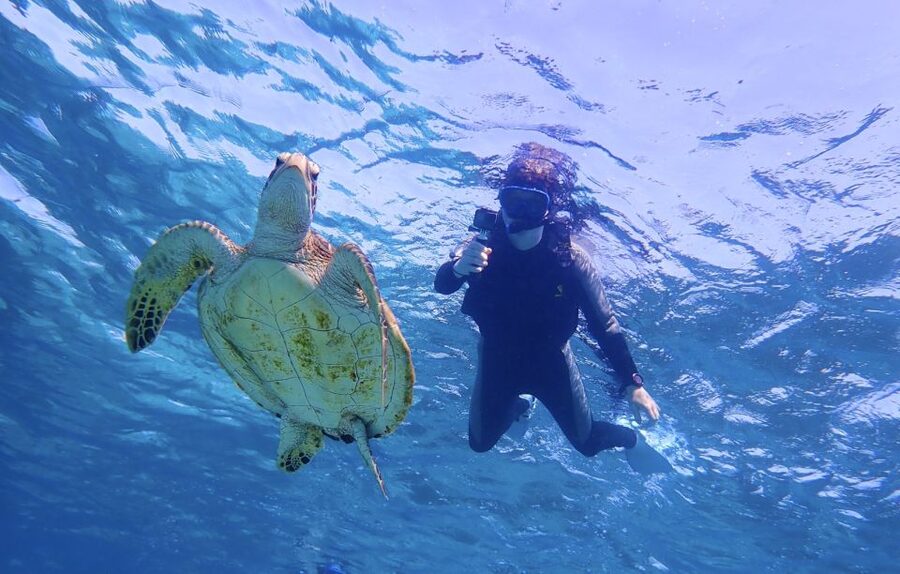 Miyako Island: SUP or Canoeing and Snorkeling Experience - Lunch at a local restaurant, with cash in hand