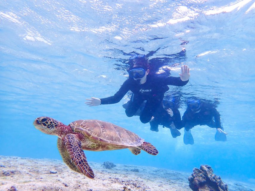 Miyako Island: SUP or Canoeing and Snorkeling Experience - An eco-friendly format with useful limits