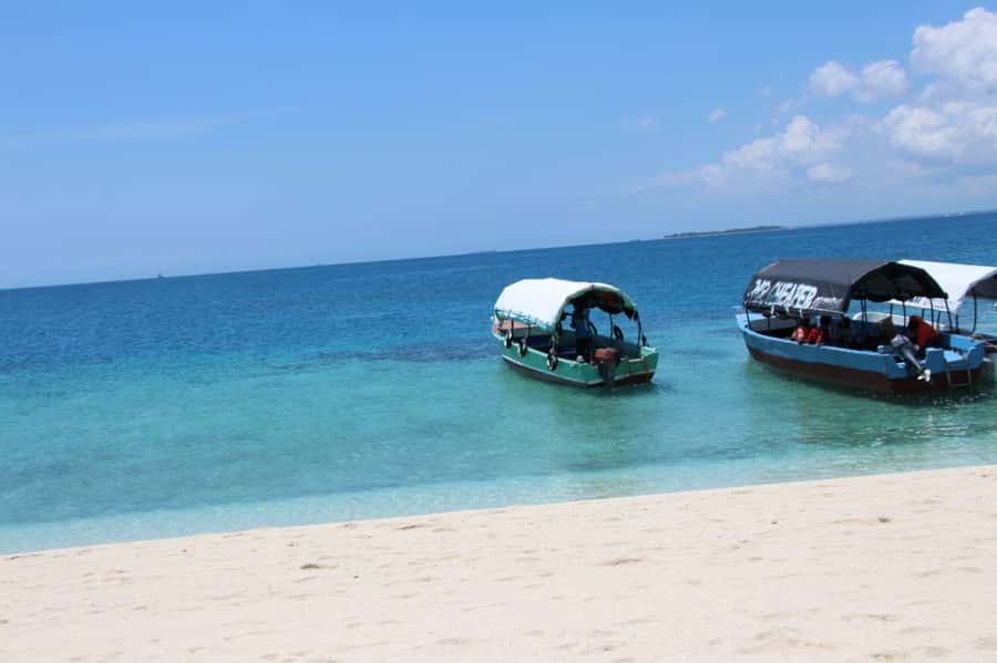 Mnemba dolphin & snorkel: from matemwe, pwani, kwingwa, Uroa - Key points before you book