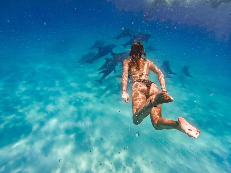 Mnemba Island: Dolphin Swim & Snorkeling with Optional Lunch - What This Mnemba Boat Trip Really Includes
