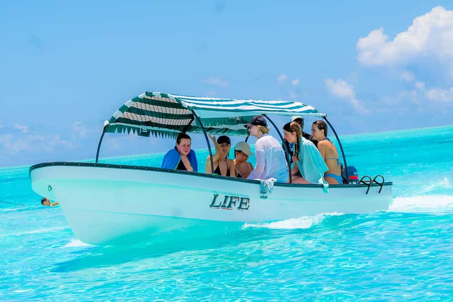 Mnemba Island: Dolphin Swim & Snorkeling with Optional Lunch - Optional Lunch With Swahili or Seafood Dishes