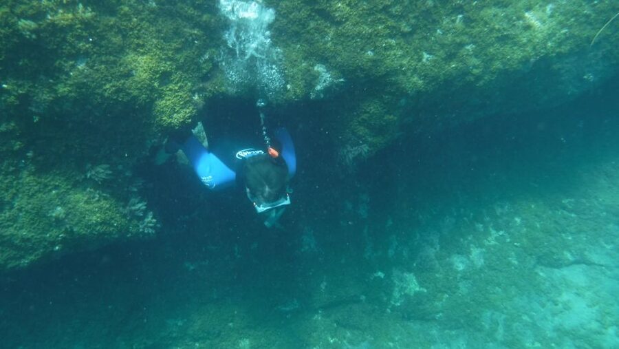 Mogán: Guided Kayak to Caves and Snorkeling Tour - Is $77 a fair price?