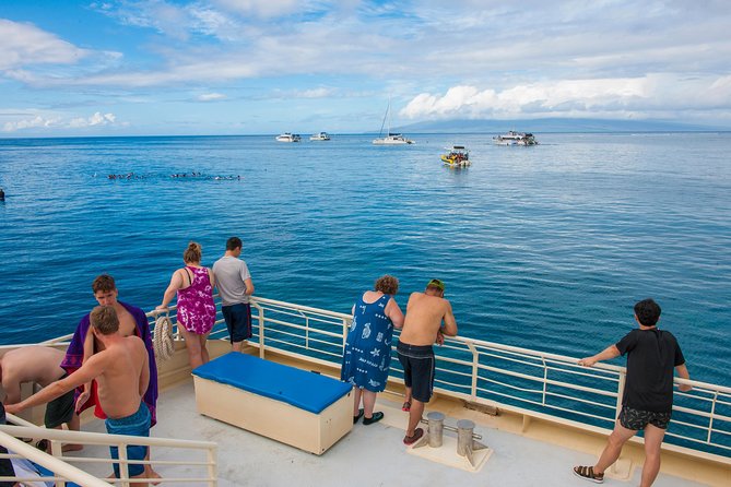 Molokini and Turtle Arches Snorkeling Trip from Ma'alaea Harbor - Lunch on board and what the food is like
