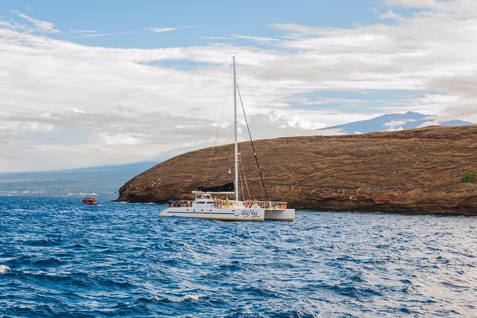 Molokini and Turtle Arches Snorkeling Trip from Ma'alaea Harbor - How the large-group format affects your day
