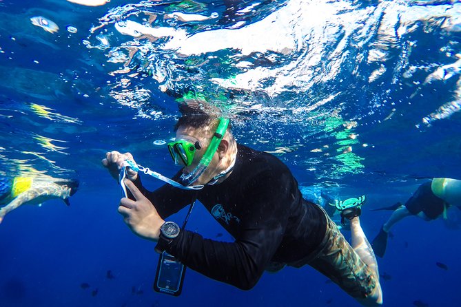 Molokini and Turtle Arches Snorkeling Trip from Ma'alaea Harbor - Is $209.99 a fair price?