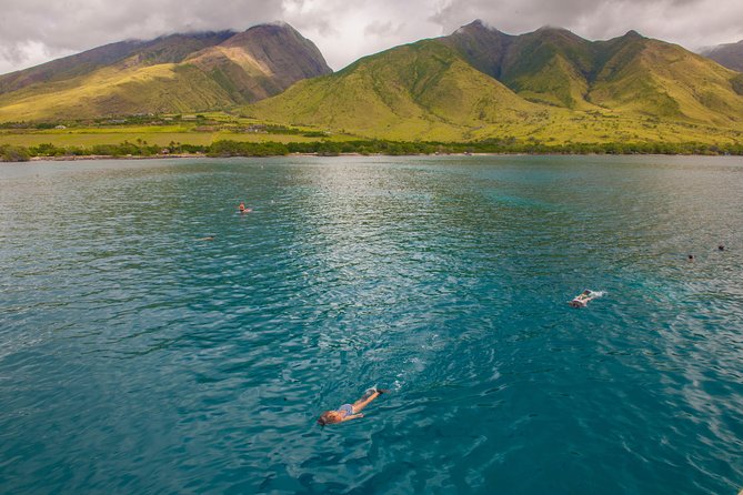 Molokini and Turtle Arches Snorkeling Trip from Ma'alaea Harbor - Breakfast, gear, and the first safety briefing