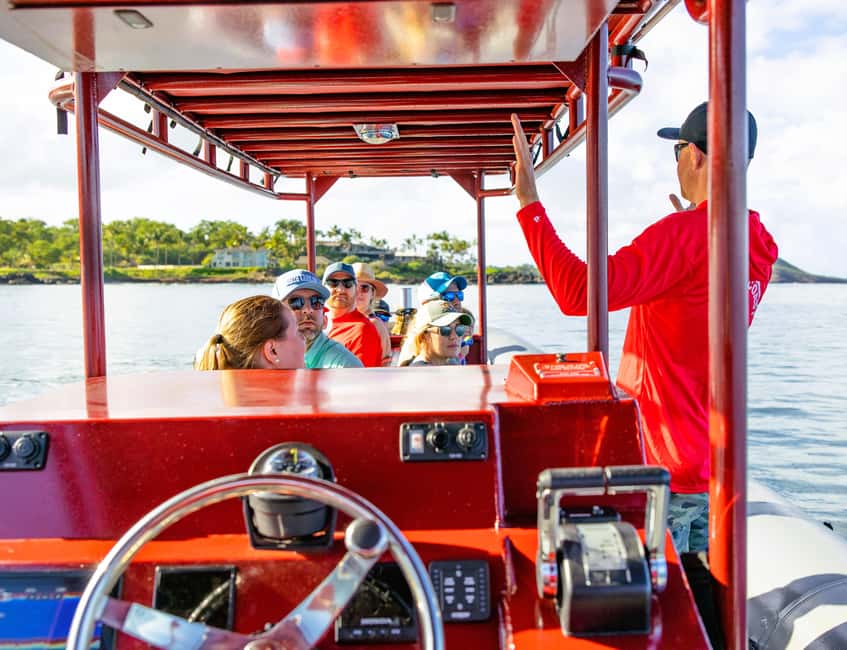Molokini Crater Snorkel & Whale Watching (Dec 15 – Mar 30) - Makena Bay: a 30-minute whale search