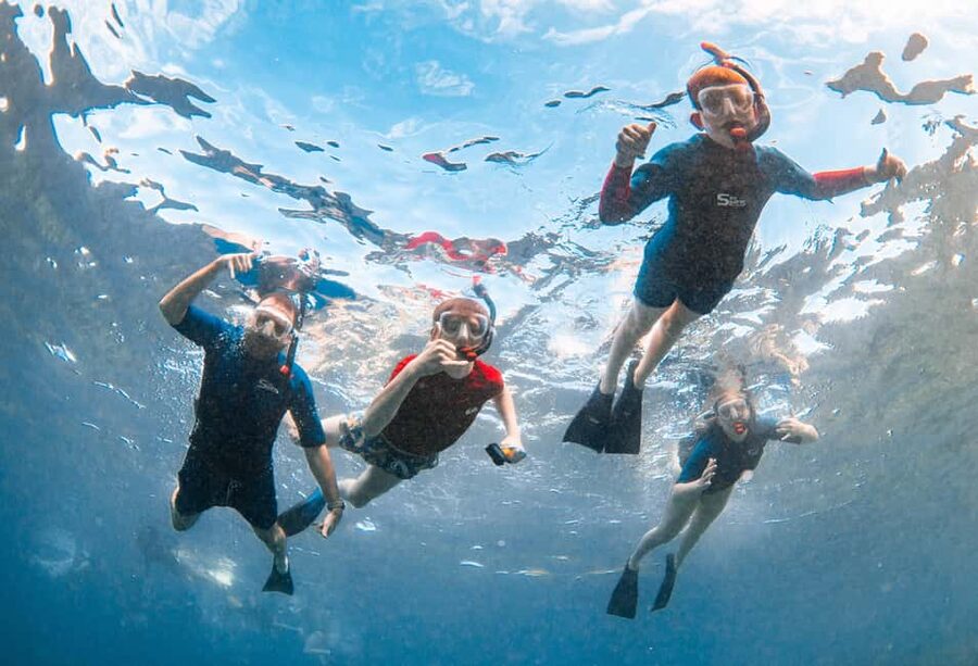Molokini Crater Snorkel & Whale Watching (Dec 15 – Mar 30) - Molokini Crater: clear water and a busy reef