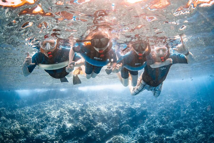 Molokini Crater Snorkel & Whale Watching (Dec 15 – Mar 30) - Turtle Town is the backup, not a disappointment