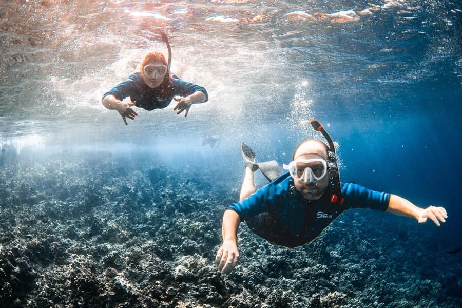 Molokini Crater Snorkel & Whale Watching (Dec 15 – Mar 30) - Who should book this experience