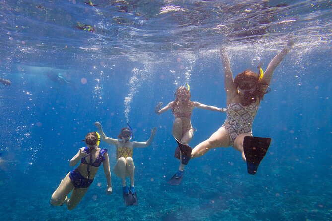 Molokini Snorkel and Performance Sail: Mā’alaea Harbor - Key points to know before you book
